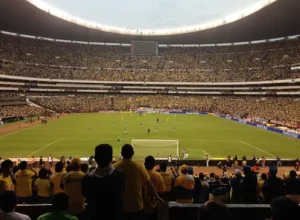 曼联计划以,万镑价格转,让拉什福德,香港赛马会,香港马会,赛马赛事,赛马资讯