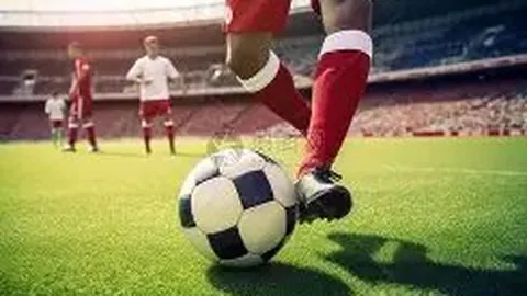 赵爽回归赛场，加入詹姆斯与谢帕德执教的新疆女篮团队